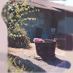 The Native House of Mother Claudine Echernier